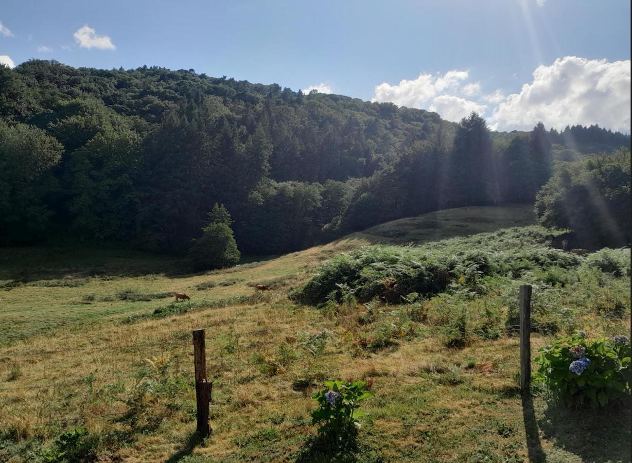 Chalet Charmant A Saint-Sylvestre Avec Terrasse Et Jardin Ambazac Luaran gambar